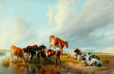Grupa bydła, 1877